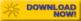 Flash Download